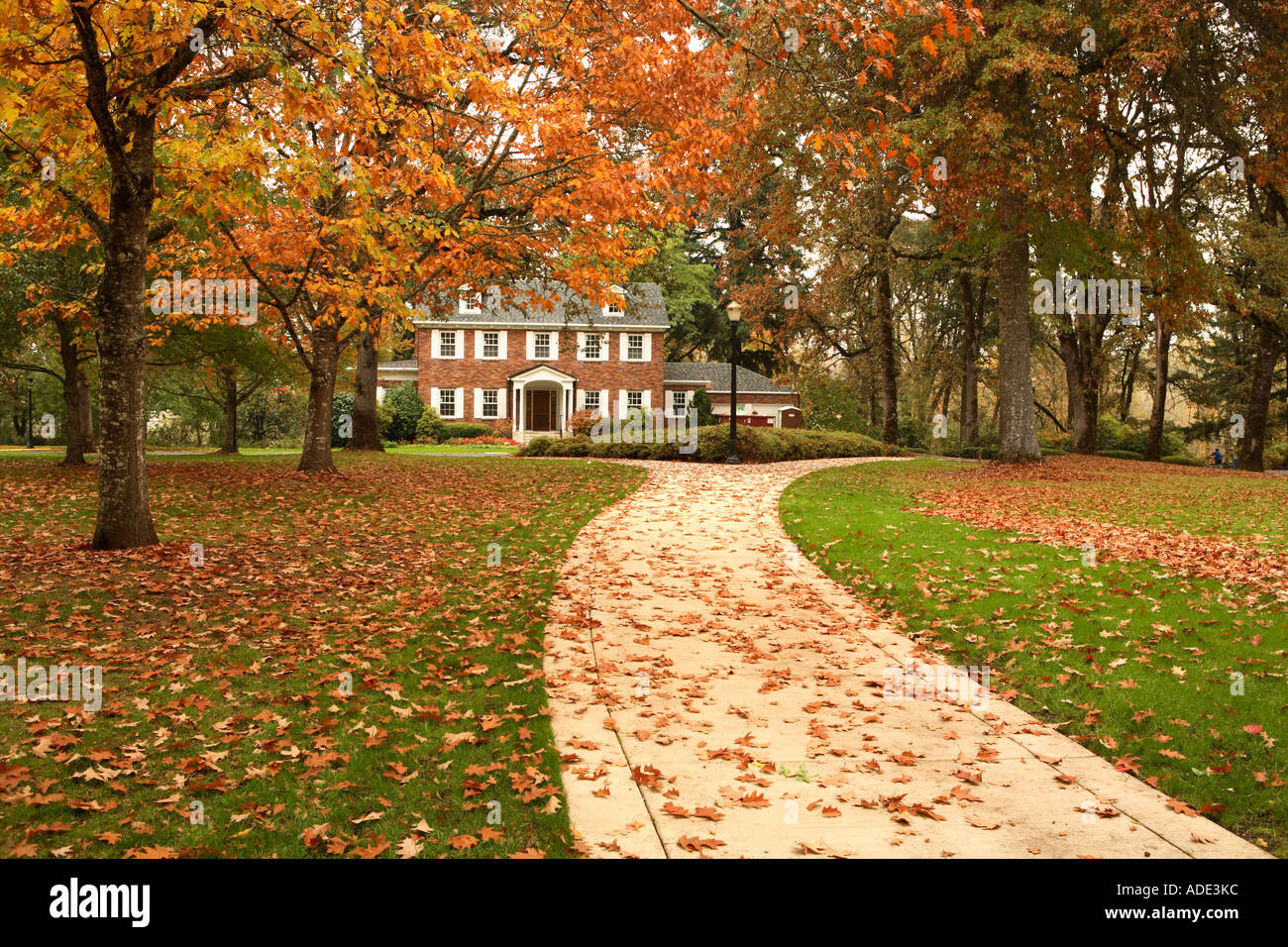 Il marciapiede coperto di foglie di autunno con home in distanza. Foto Stock