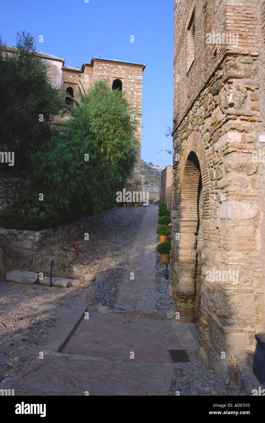 Vista della Alcazaba Palace Castello Gibralfaro Malaga Costa del Sol Costa del Sole Andalusia Andalucía España Spagna Iberia Europa Foto Stock