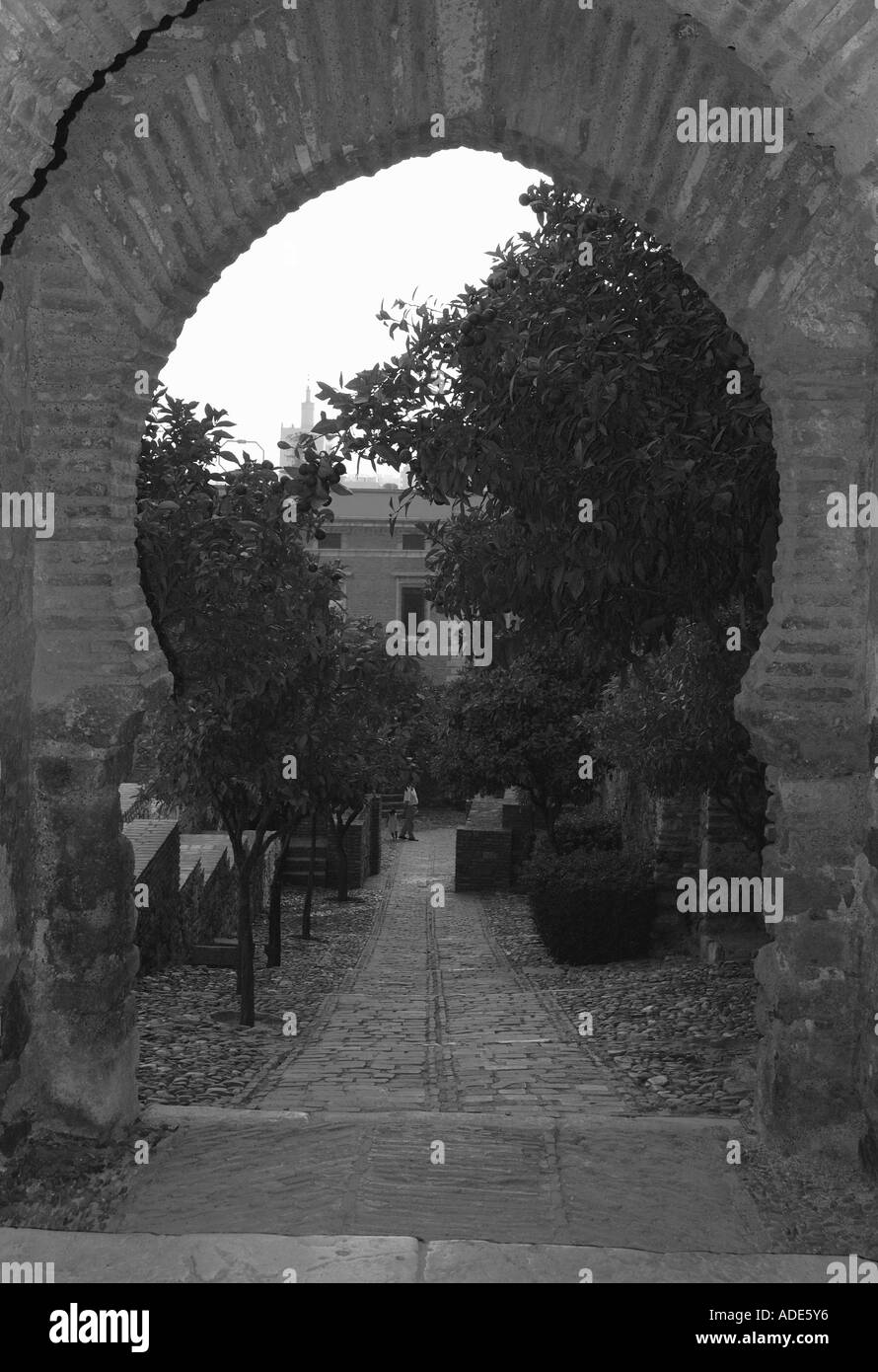 Vista della Alcazaba Palace Castello Gibralfaro Malaga Costa del Sol Costa del Sole Andalusia Andalucía España Spagna Iberia Europa Foto Stock