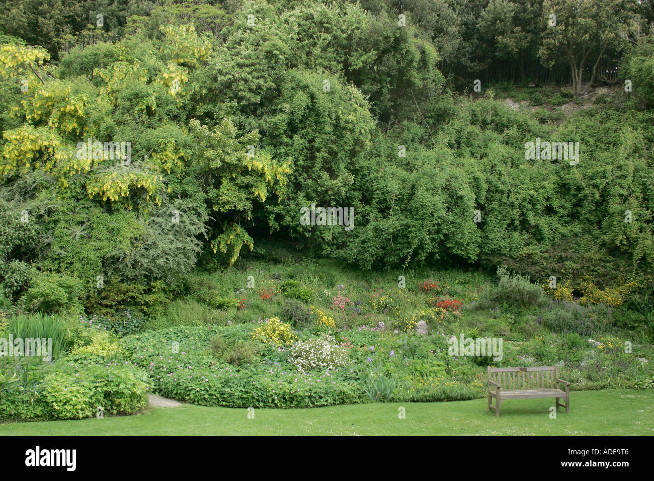 Area di Highdown giardini, Worthing, West Sussex. Il giardino è costruito sul terreno gessoso Foto Stock