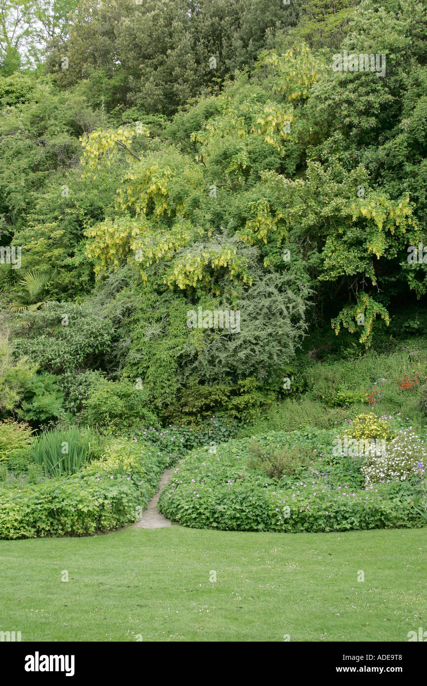 Area di Highdown giardini, Worthing, West Sussex. Il giardino è costruito sul terreno gessoso Foto Stock
