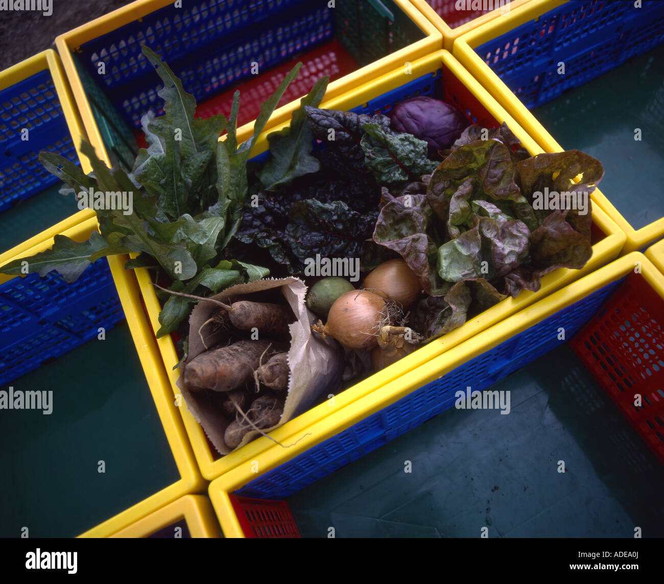 Un cesto di verdura biologica. Foto Stock