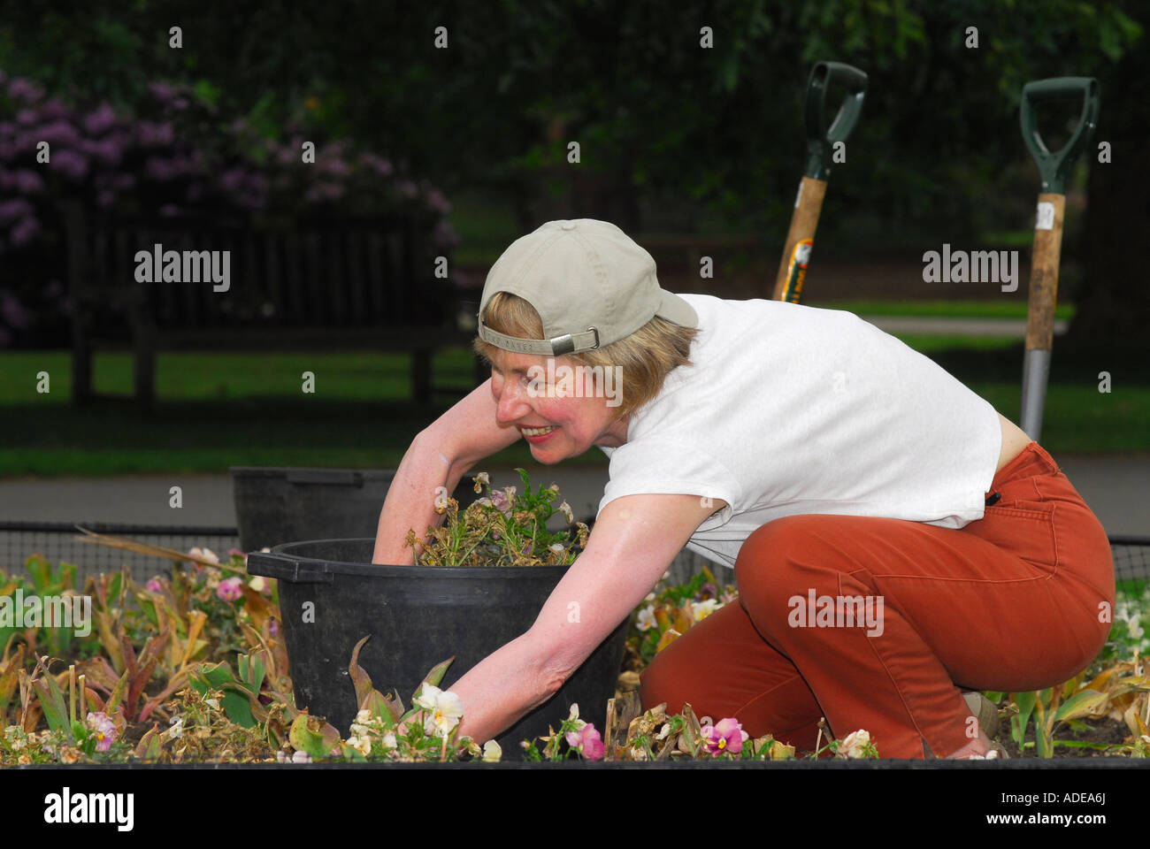 Giardiniere femmina lavora nel volontariato presso i Giardini di Kew Kew Londra Foto Stock