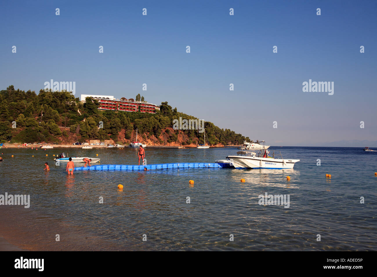 Grecia Sporadi isola Skiathos una vista della famosa spiaggia di Koukounaries con la pineta alle spalle Foto Stock