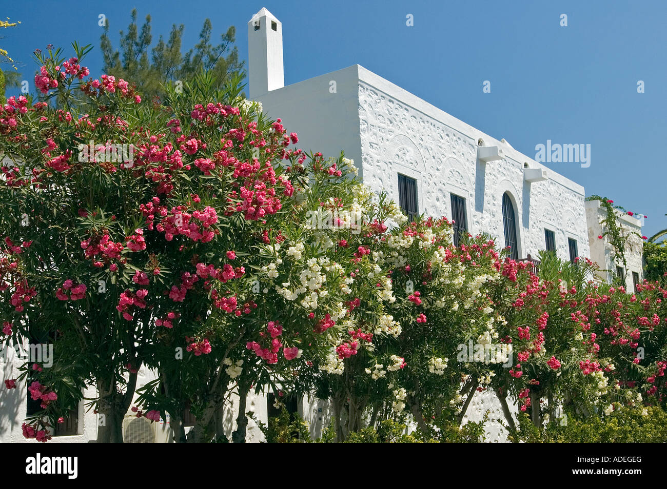 Tipica casa di Bodrum, costa Egea, Turchia Foto Stock