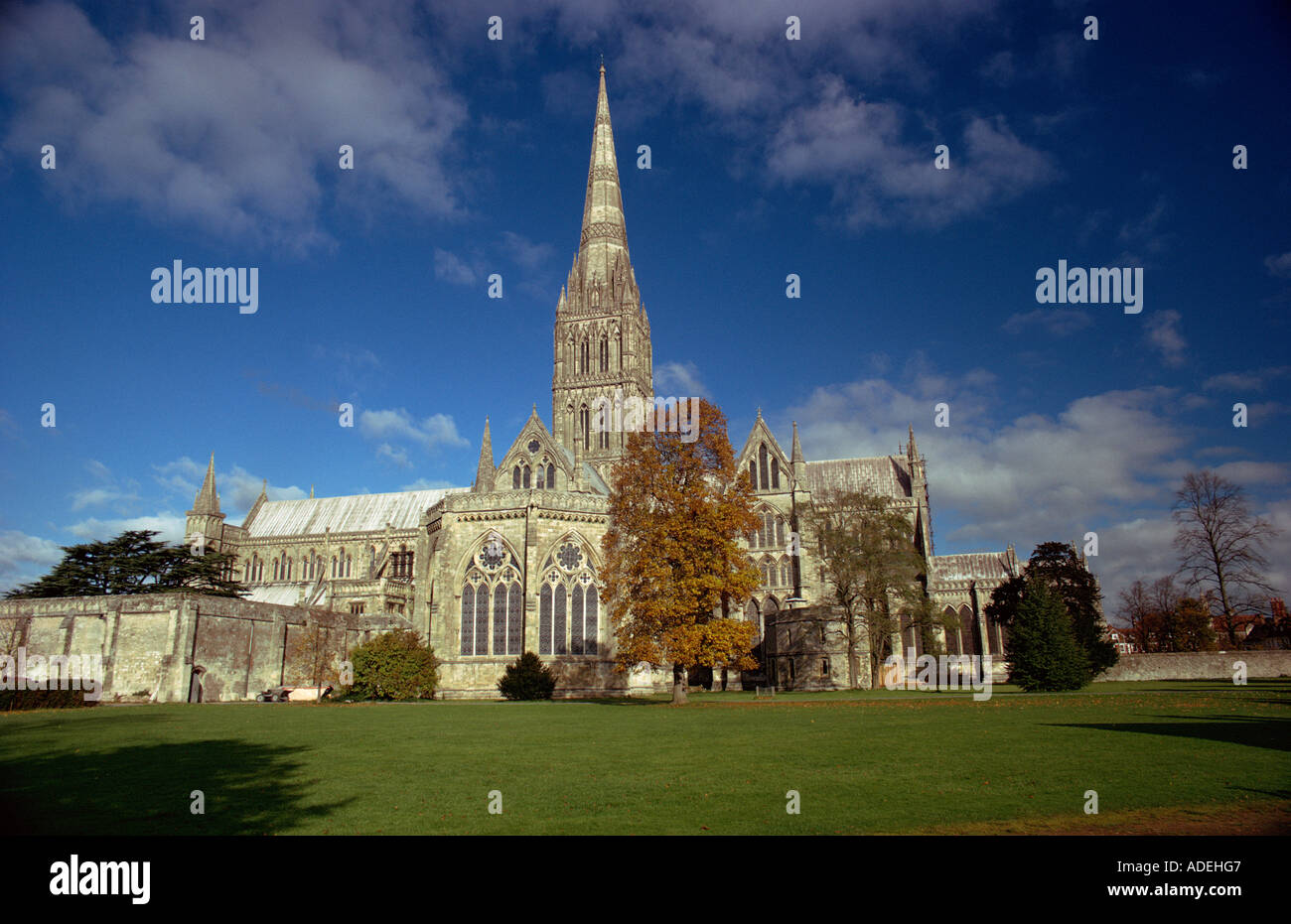 Regno Unito. In Inghilterra. Wiltshire. La Cattedrale di Salisbury. Foto Stock