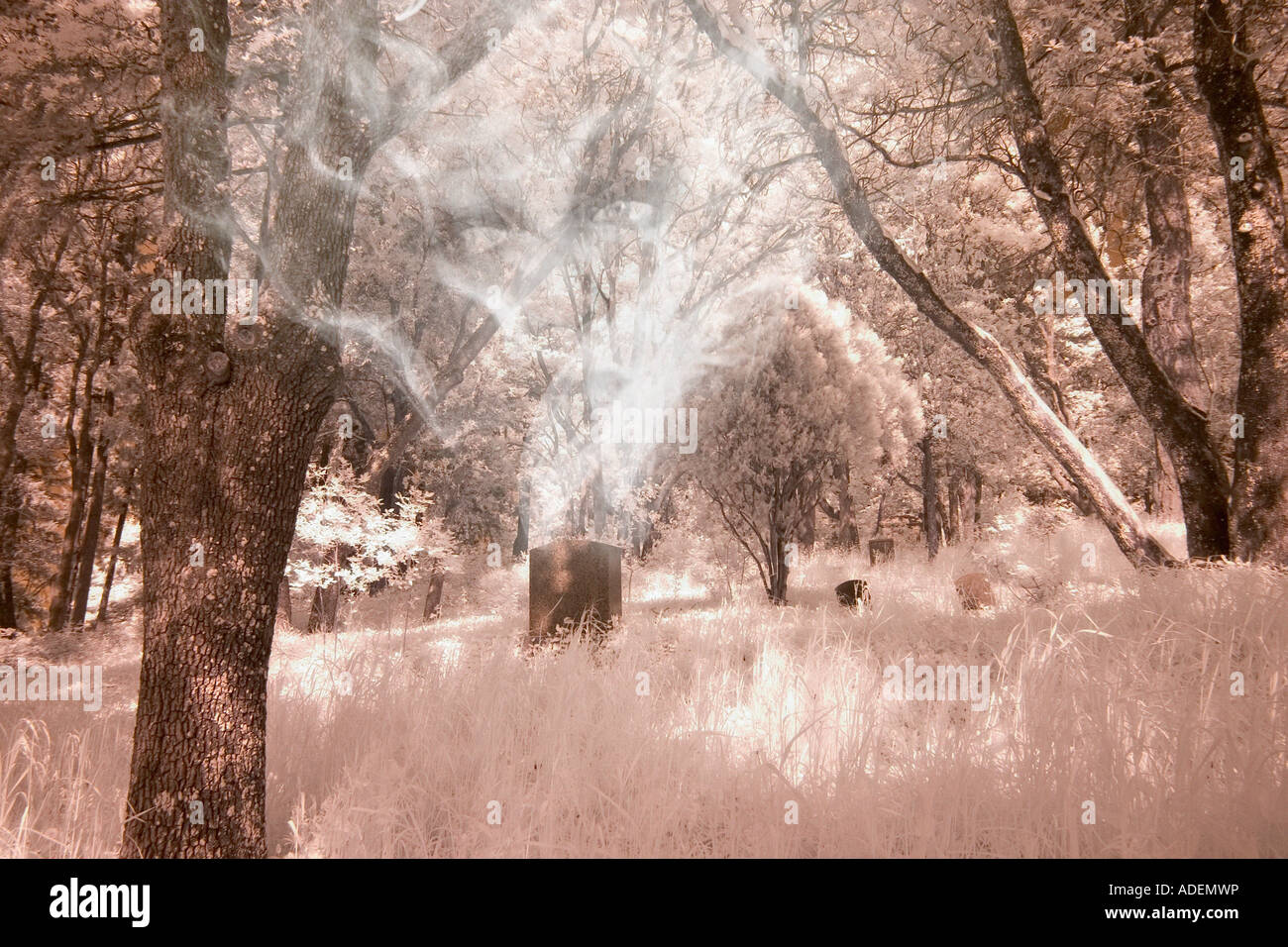 Ghost occhi nel cimitero Foto Stock