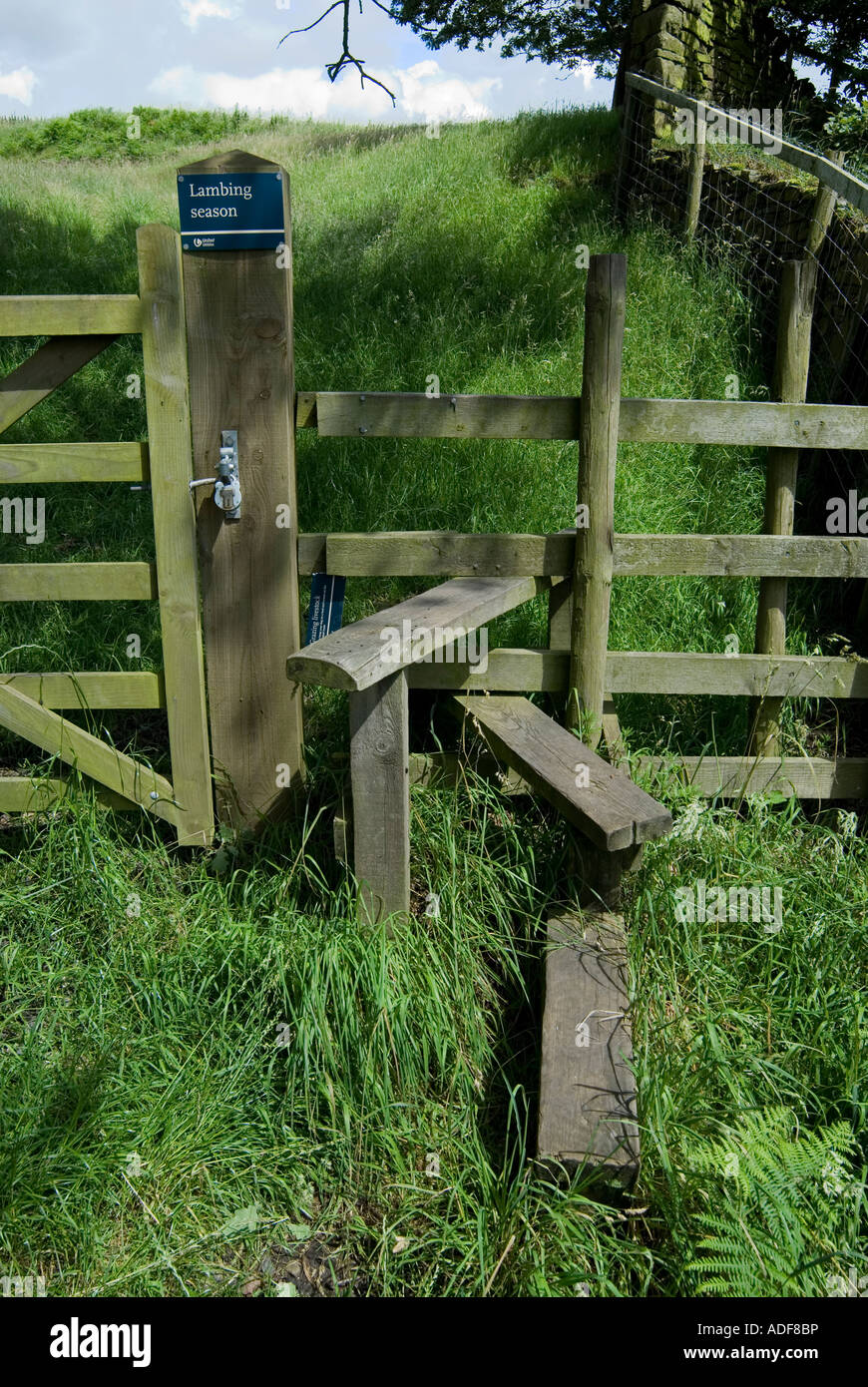 Stile incorporato in un recinto su terreno coltivato in Gran Bretagna per consentire gli escursionisti per attraversare il paese Foto Stock