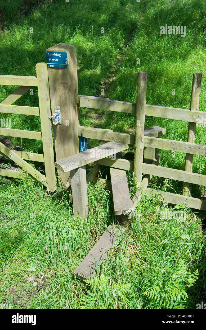 Stile incorporato in un recinto su terreno coltivato in Gran Bretagna per consentire gli escursionisti per attraversare il paese Foto Stock