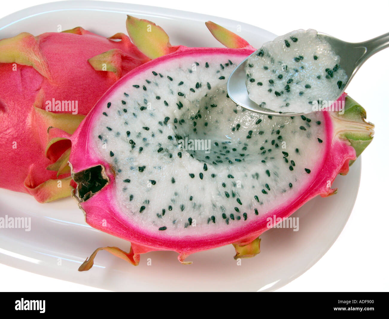 Set 6 Cucchiai Da Pompelmo In Acciaio Inox Con Bordo Seghettato E Fori – Posate Per Frutta E Dessert – Cucchiaio Dentellato Per Kiwi, Mango E Purea – Facili Da Pulire