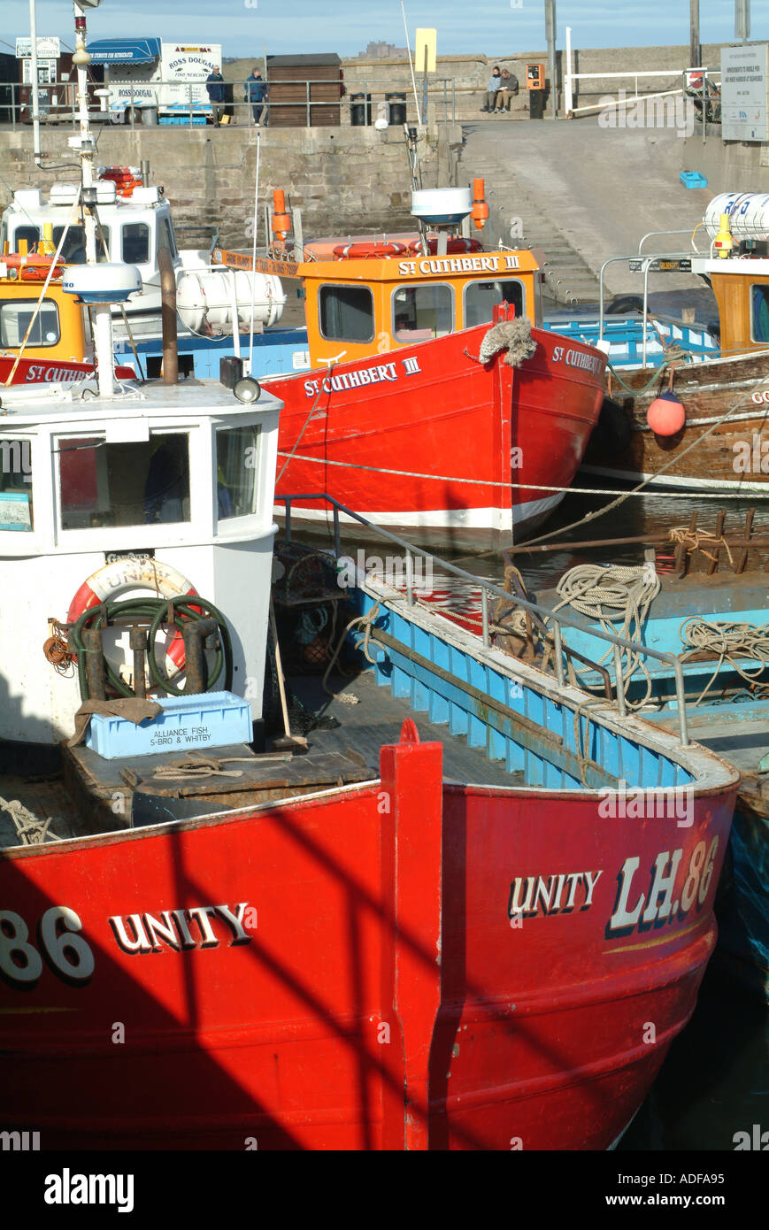 Barche da pesca legato fino in porto a Seahouses Northumberland England Regno Unito Regno Unito Foto Stock