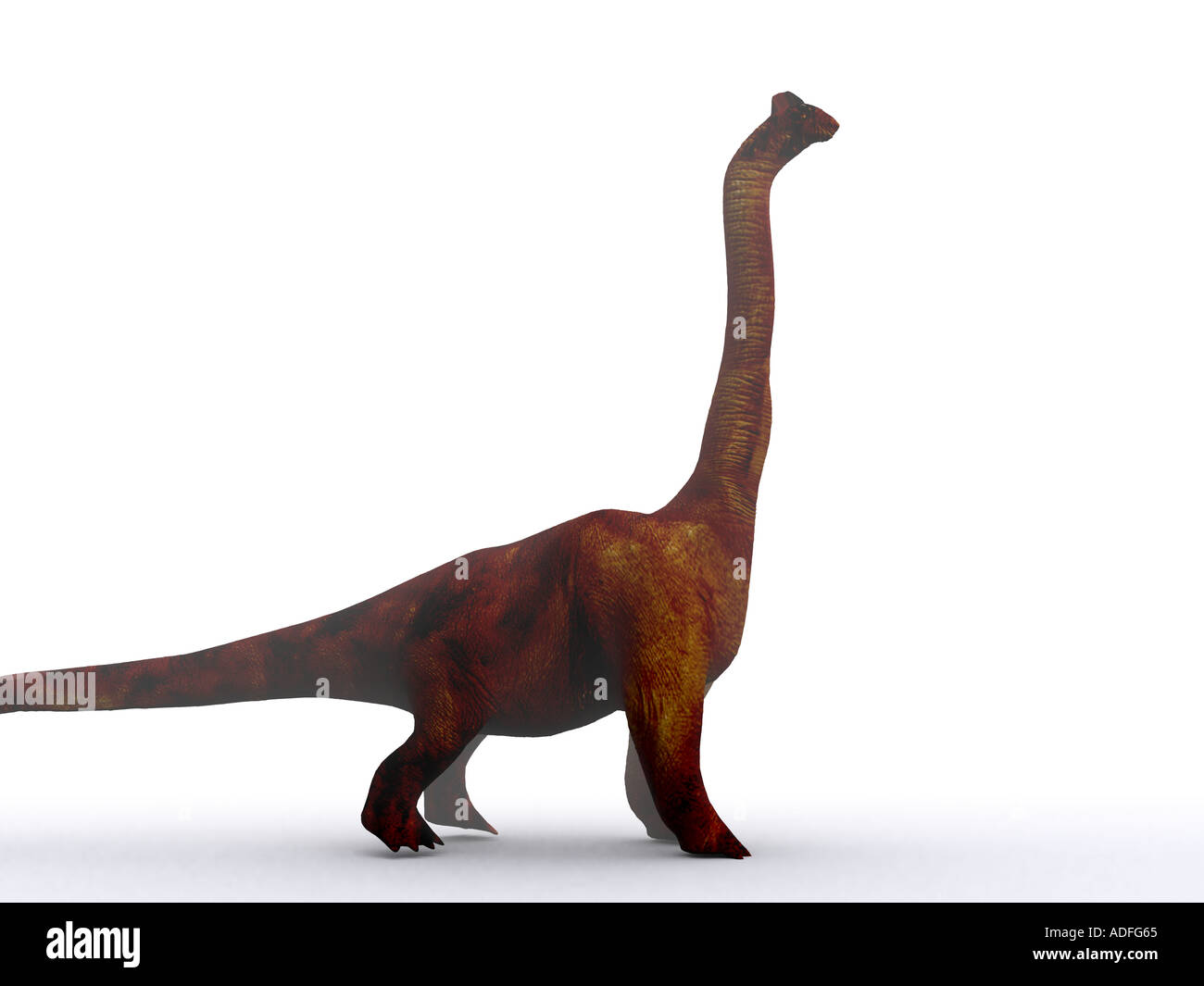 Dinosauro brachiosaurus la creatura più alto mai avere exsisted uno dei sauropods computer 3D illustrazione in Silhoue Foto Stock