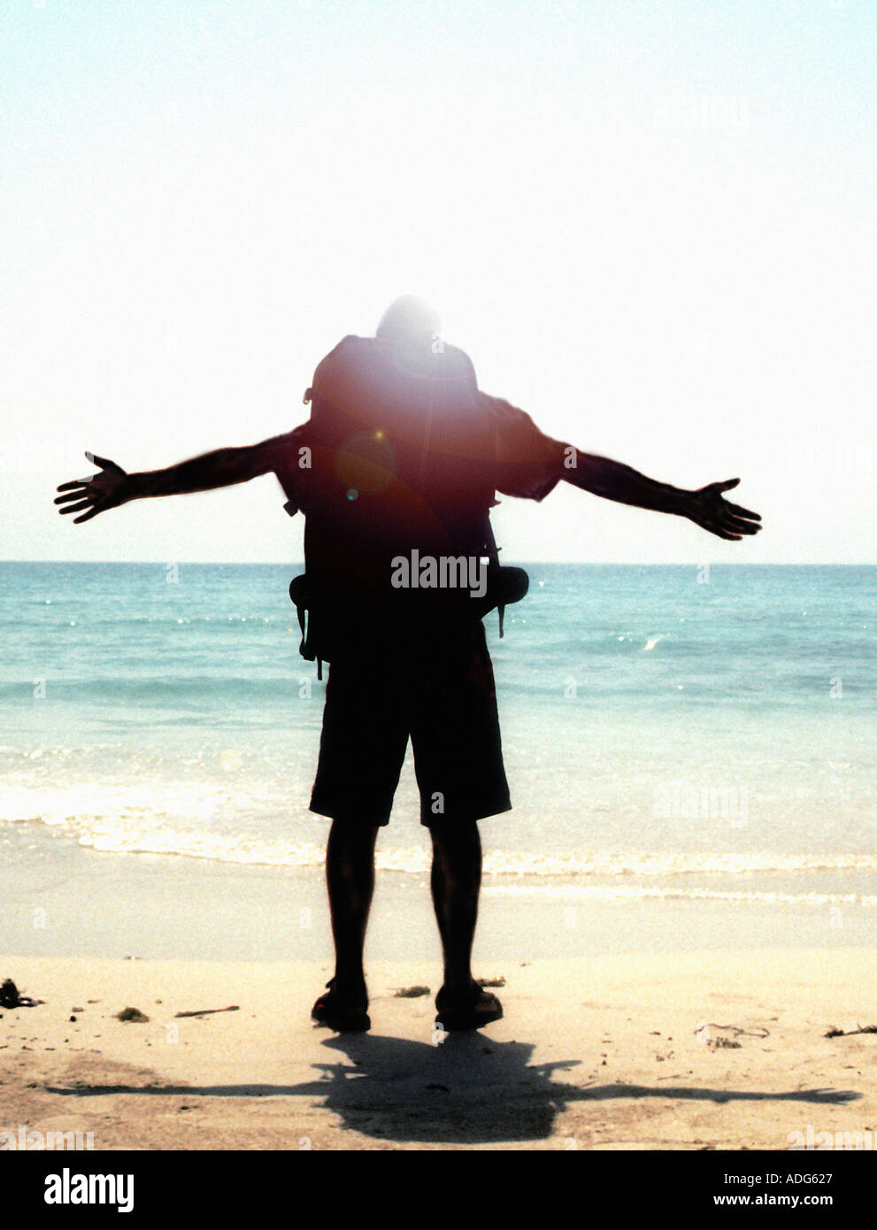 Imballatore indietro guardando fuori in mare Foto Stock