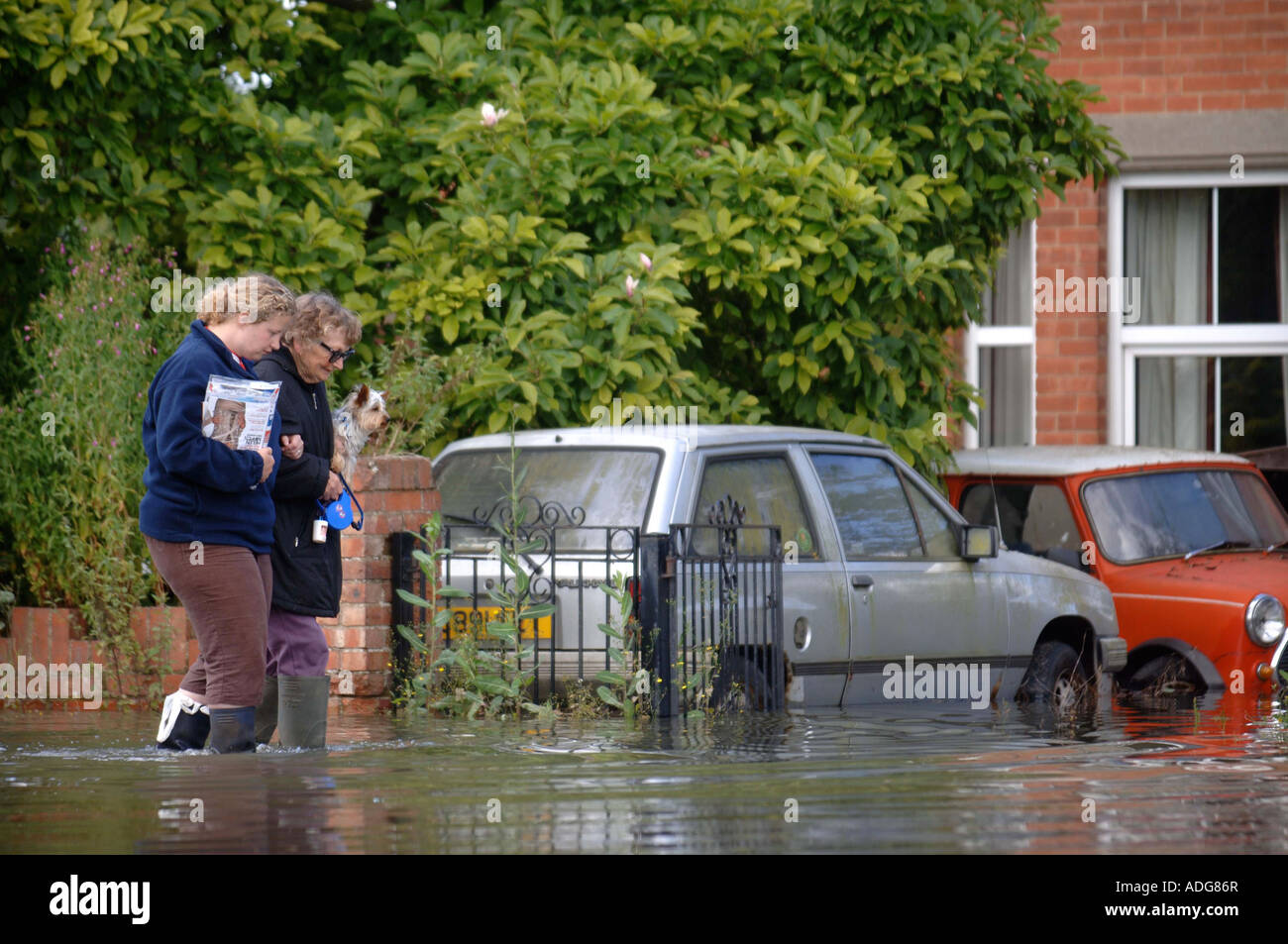 Una strada residenziale sotto INONDAZIONE IN LONGFORD GLOUCESTER REGNO UNITO Foto Stock