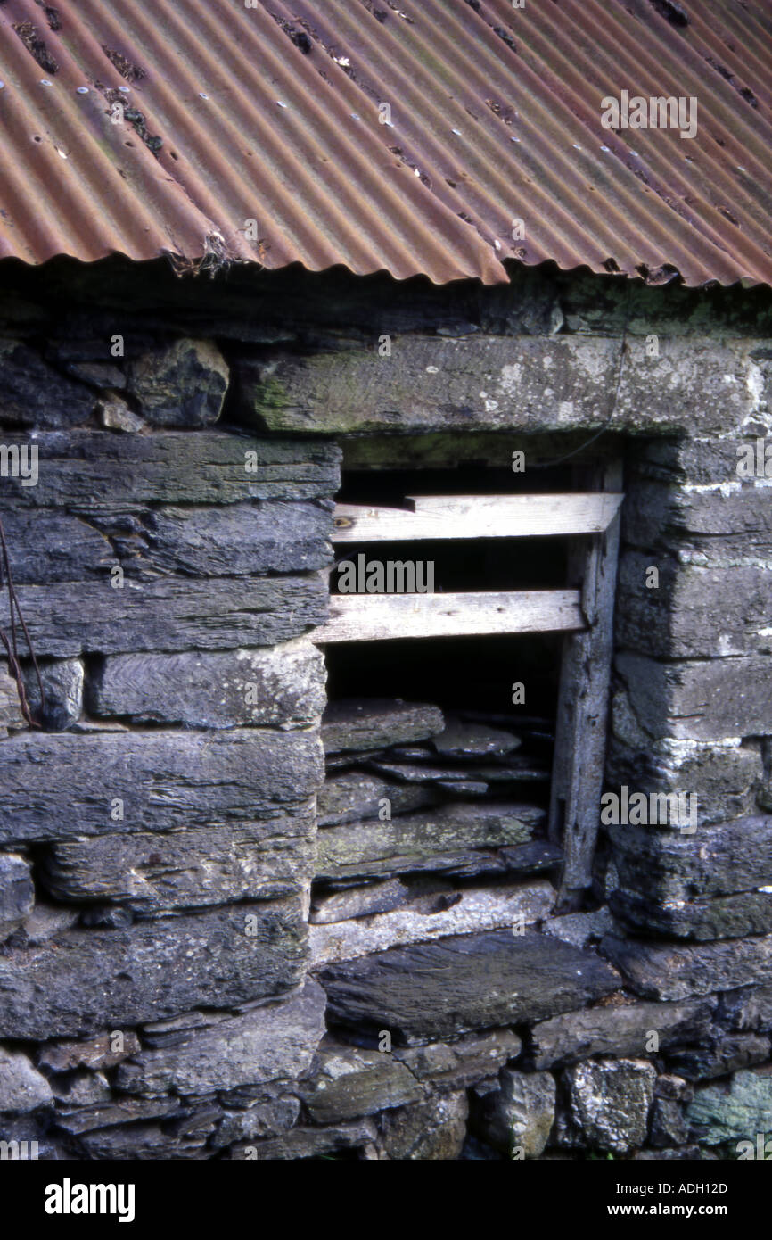 Fienile abbandonati in Snowdonia Valley vicino a cader Idris Foto Stock