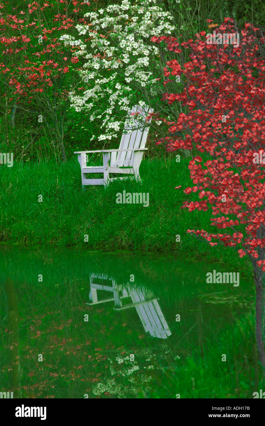 Bianco sedia Adirondack e fioritura sanguinello riflessa nel lago in primavera, STATI UNITI D'AMERICA Foto Stock