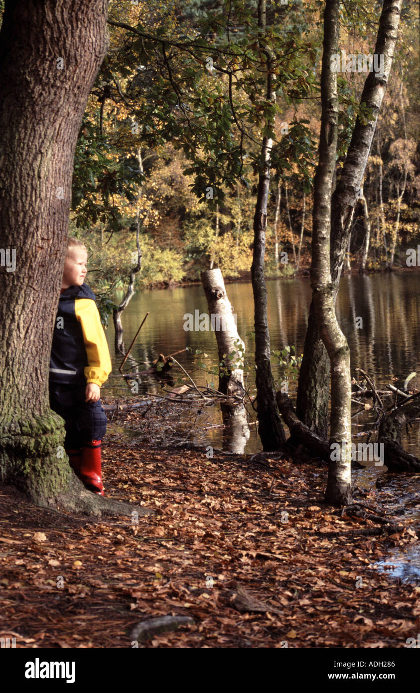 Ehi guarda ME 04 ragazzo si nasconde dietro tree delamere forest cheshire england QUESTO È 1 di 2 immagini simili e 1 di 200 PICS TOTALE Foto Stock