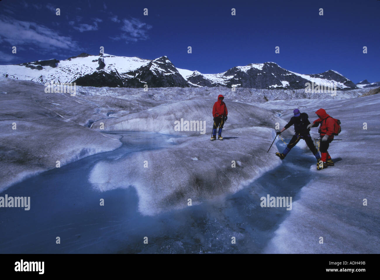 Gli escursionisti attraversa icefield a Norris Glacier Juneau SE AK SCENIC Foto Stock