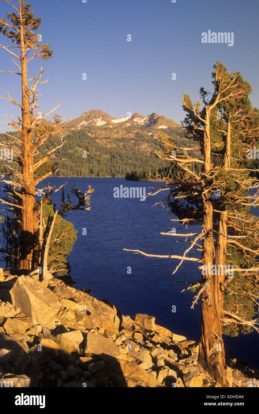 Lago Caples nell'Eldorado National Forest, Sierra Nevada, in California, Stati Uniti d'America Foto Stock