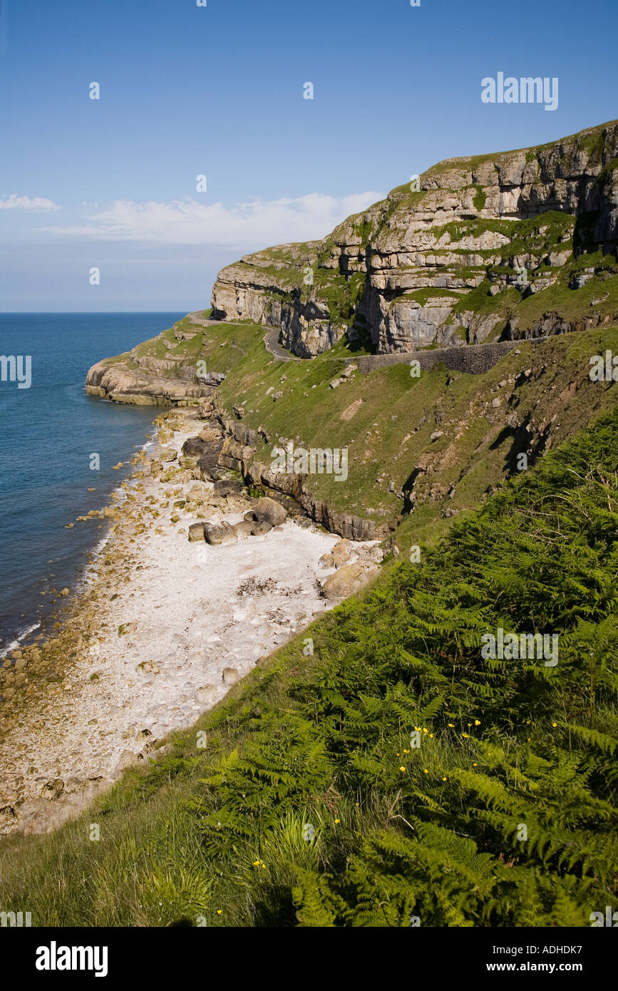 Costa di Great Orme Llandudno Wales UK Foto Stock