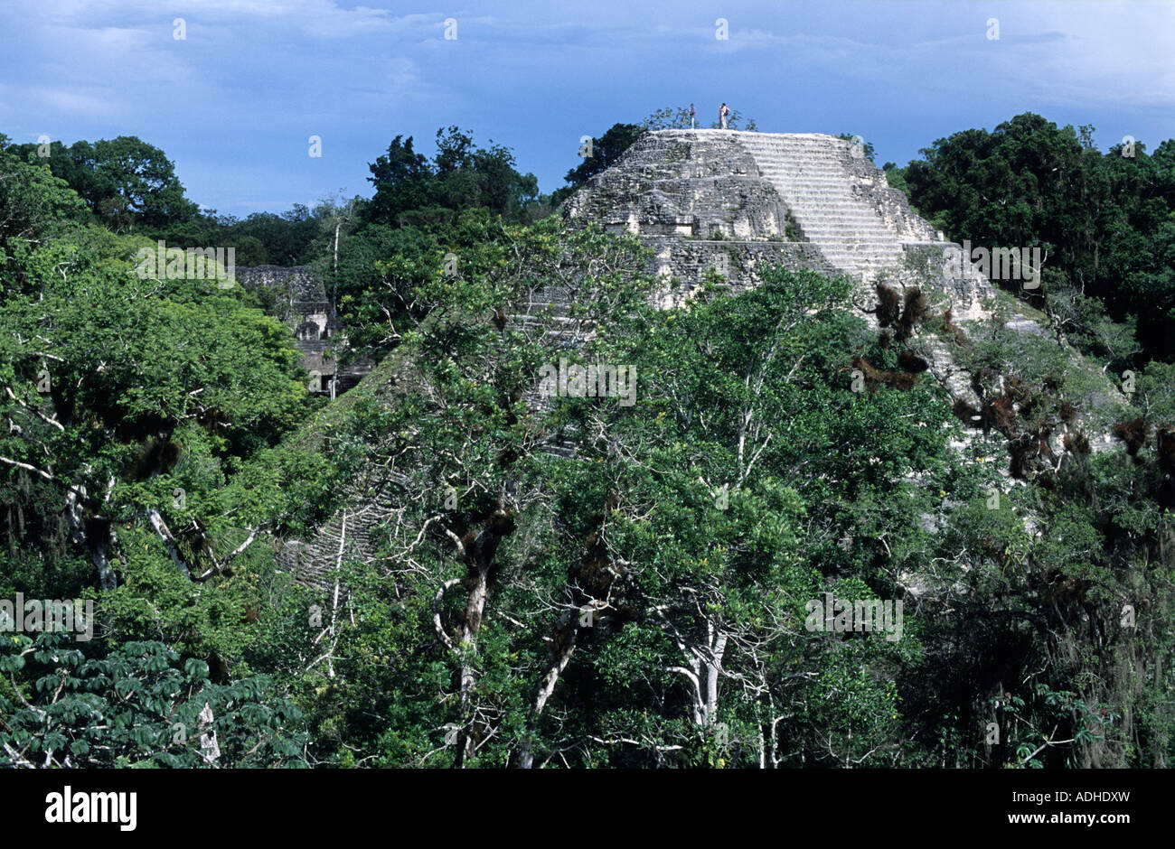 Edifici maya e la foresta pluviale nell'antica città di Tikal Guatamala Foto Stock