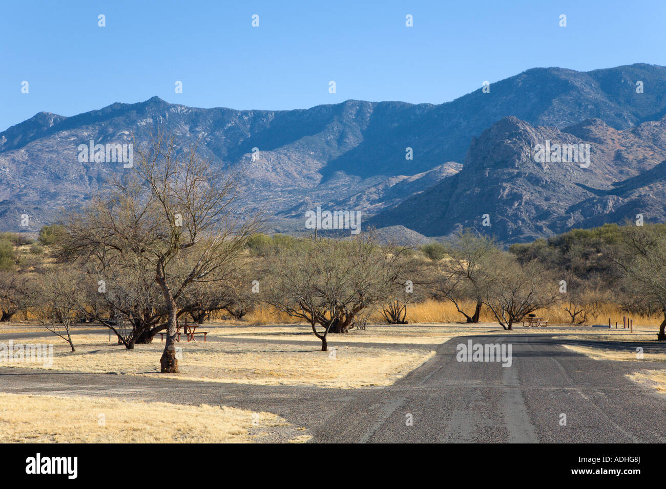 Campeggio in stato di Catalina Park vicino a Tucson, Arizona, Stati Uniti d'America Foto Stock