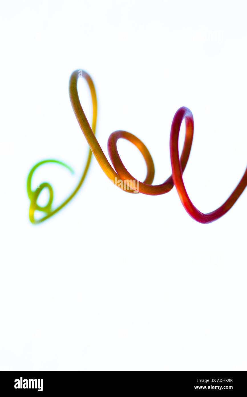 Abstract ancora la vita di un vitigno di un vitigno impianto. Foto Stock