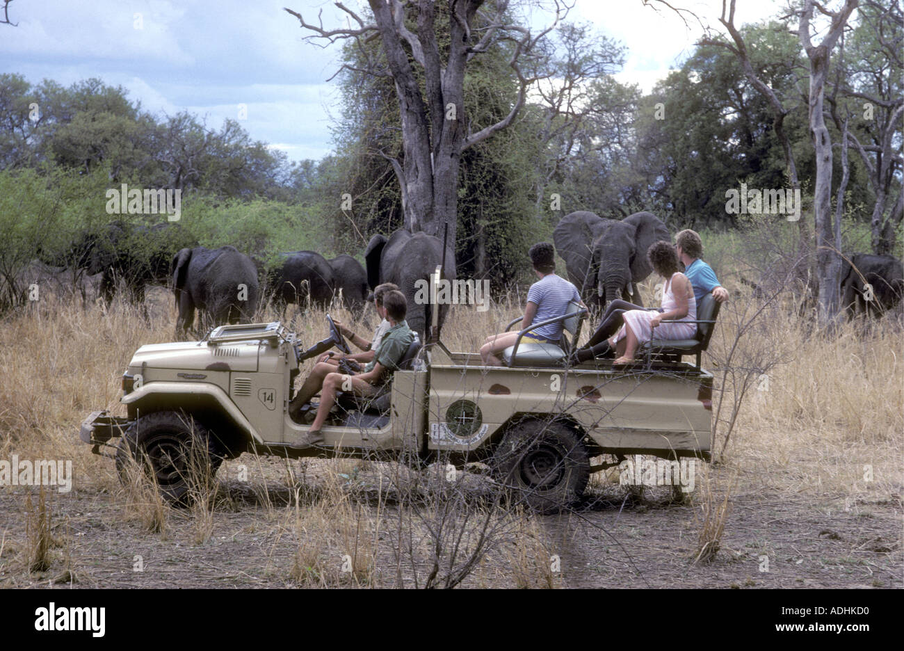 Tourist su un game drive visualizzazione di elefanti nel sud Luangwa National Park in Zambia Foto Stock