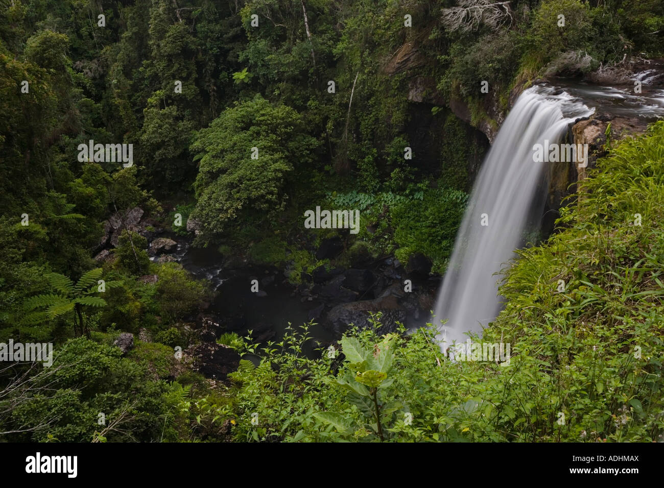 Il verdeggiante Zillie cade nell'altopiano di Atherton del Queensland tropicale Foto Stock