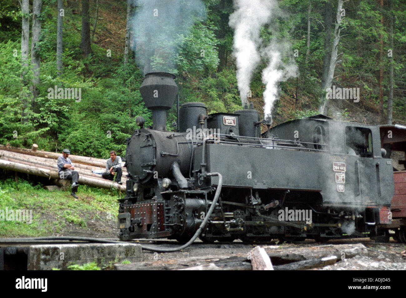 Percorso per i turisti nelle montagne di Maramures Transilvania Viseu ferrovia fu costruita lungo il Vaser s river Foto Stock