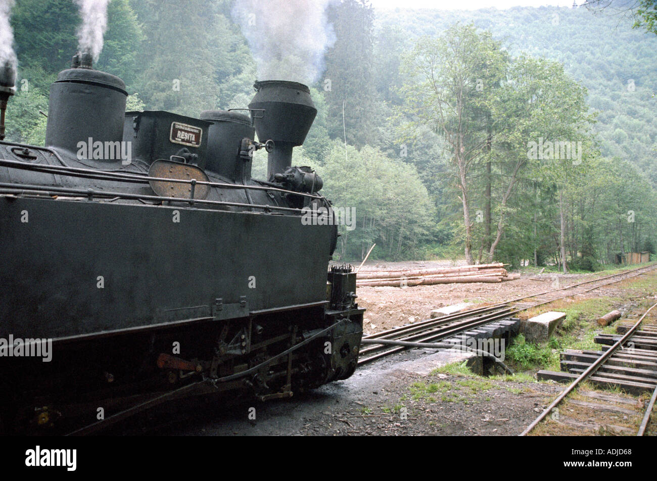 Percorso per i turisti nelle montagne di Maramures Transilvania Viseu ferrovia fu costruita lungo il Vaser s river Foto Stock