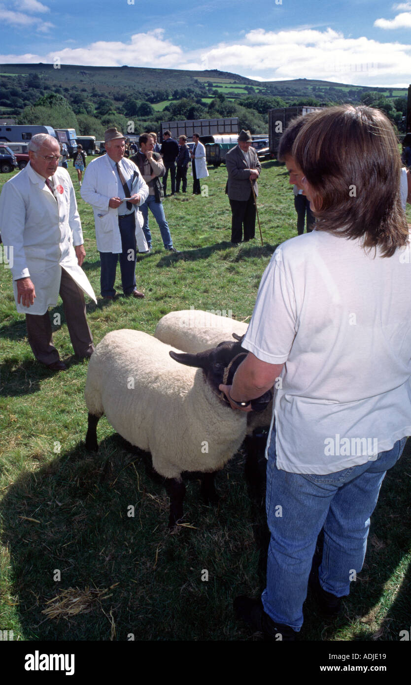 Pecore a giudicare la concorrenza alla fiera Widecombe Widecombe nel Moor Dartmoor Devon Foto Stock
