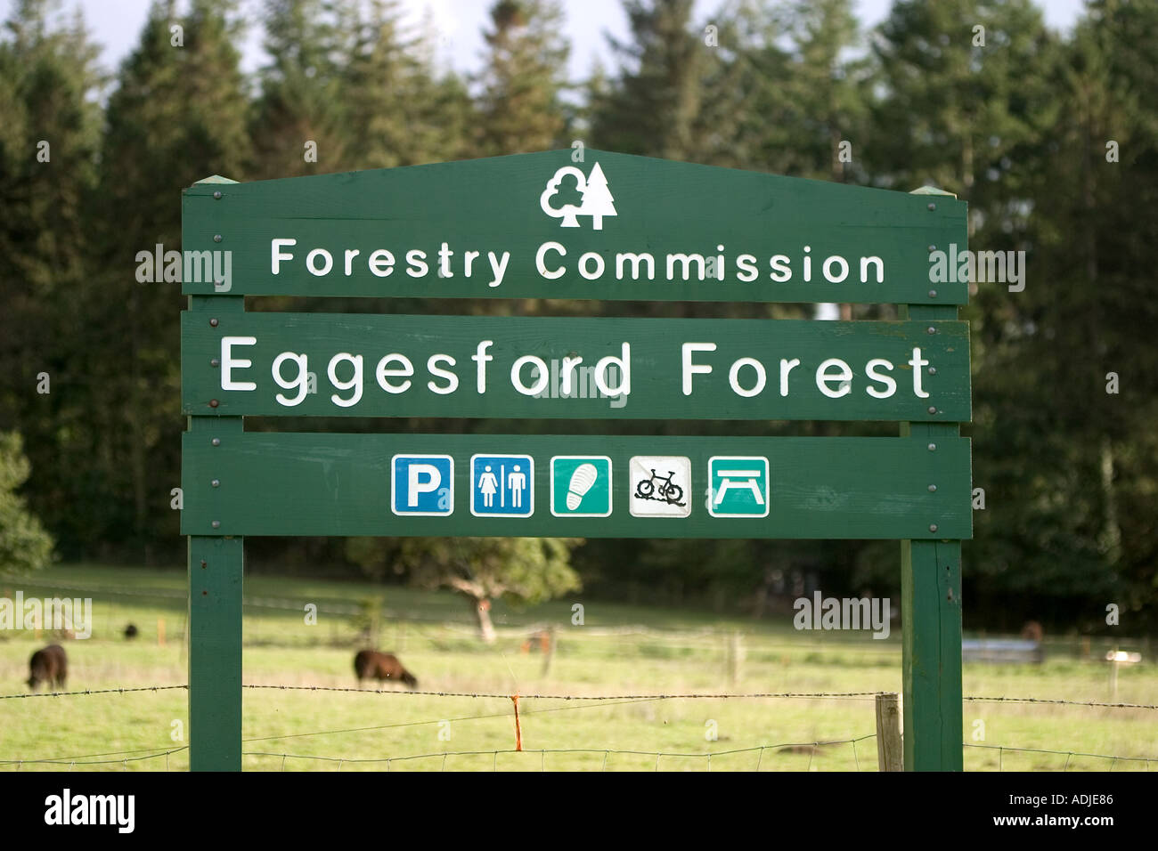 Commissione forestale segno per Eggesford foresta in North Devon England Foto Stock