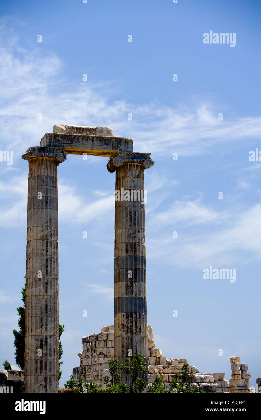 Dettaglio - Tempio di Apollo nei pressi di Altinkum, Turchia Foto Stock