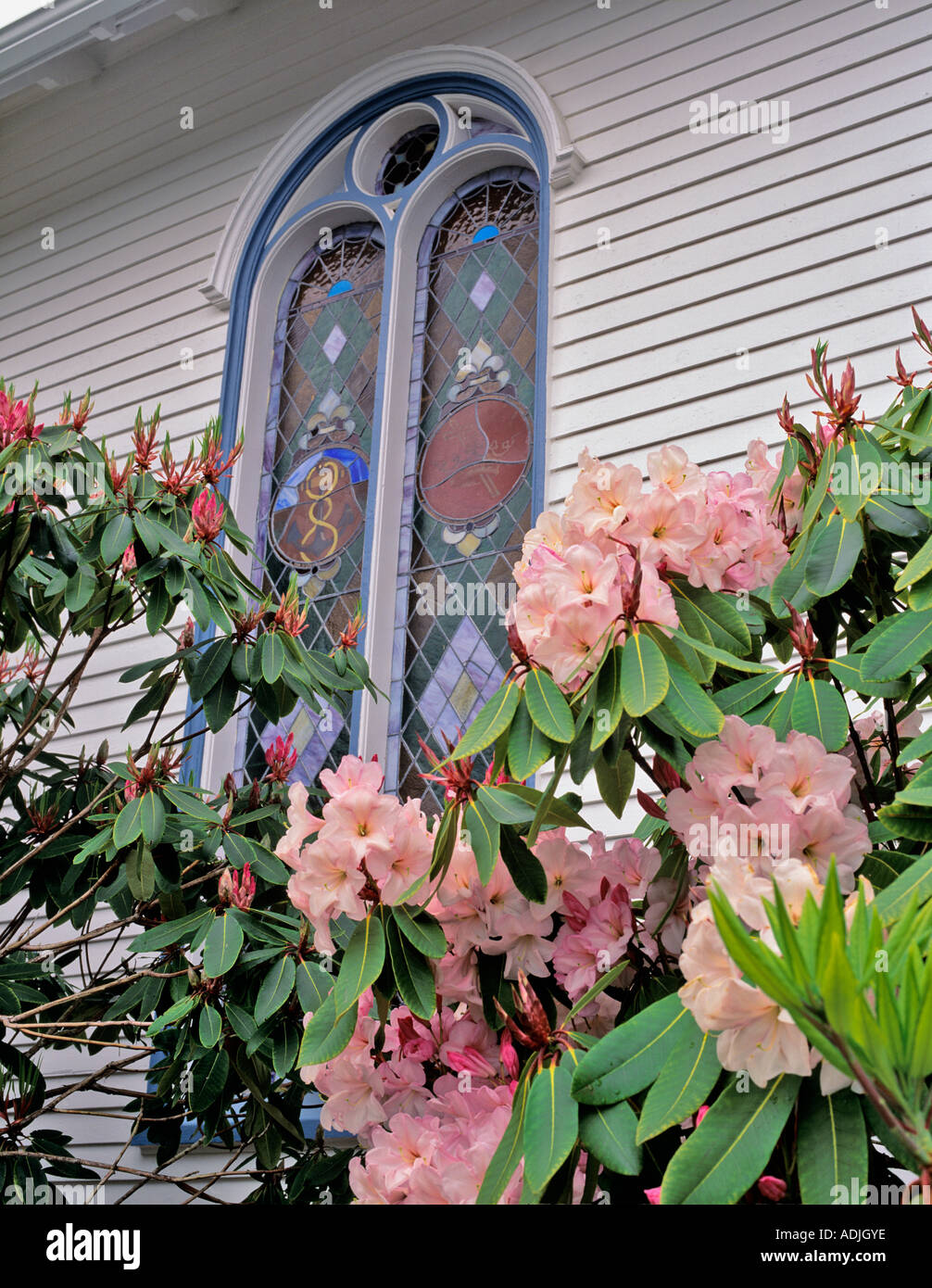 Fiori di fronte la finestra della chiesa in Astoria Oregon Foto Stock