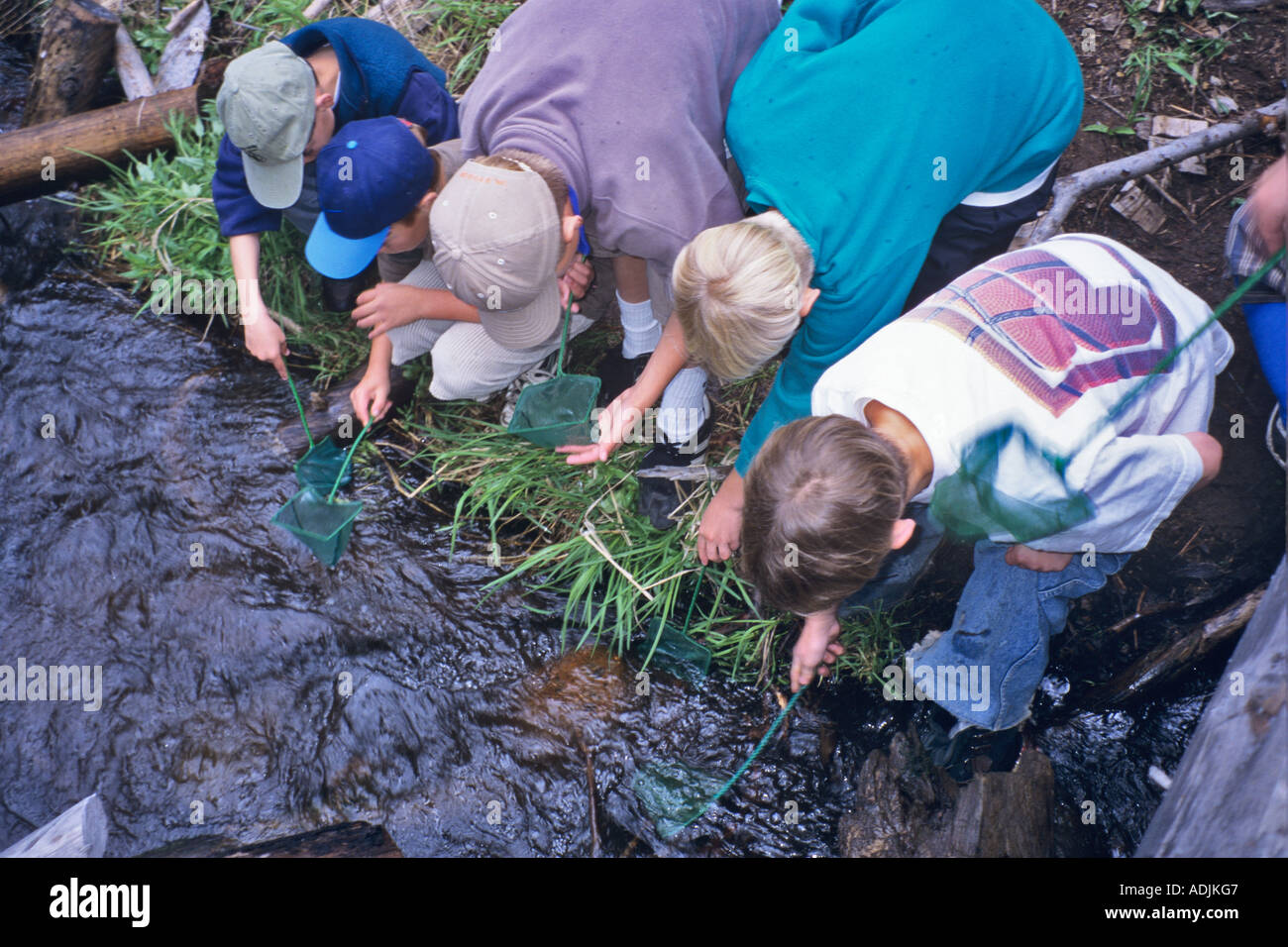 La quinta elementare agli studenti la visualizzazione di insetti acquatici a cascata scienza scuola Oregon Foto Stock