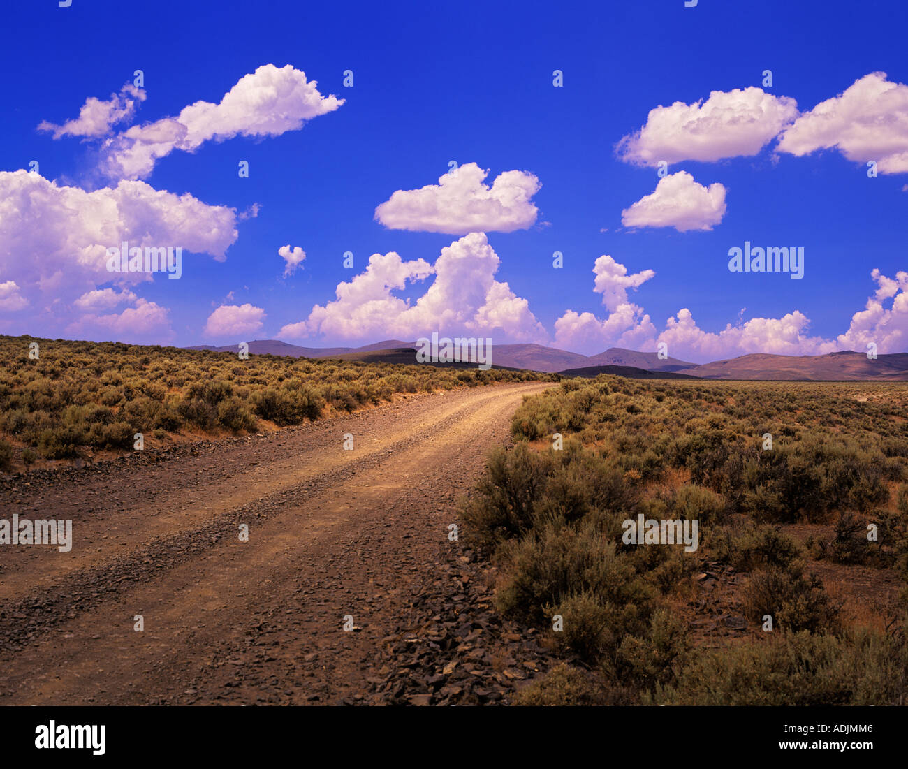 Strada in Coyote sulle colline vicino a Plush Oregon Foto Stock