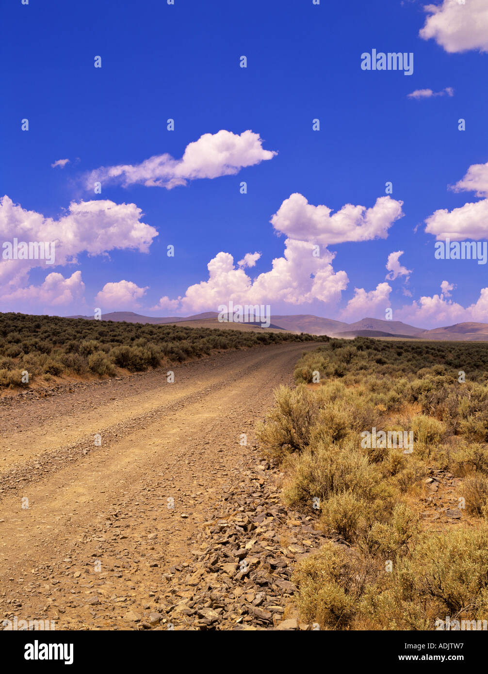 Strada in Coyote sulle colline vicino a Plush Oregon Foto Stock