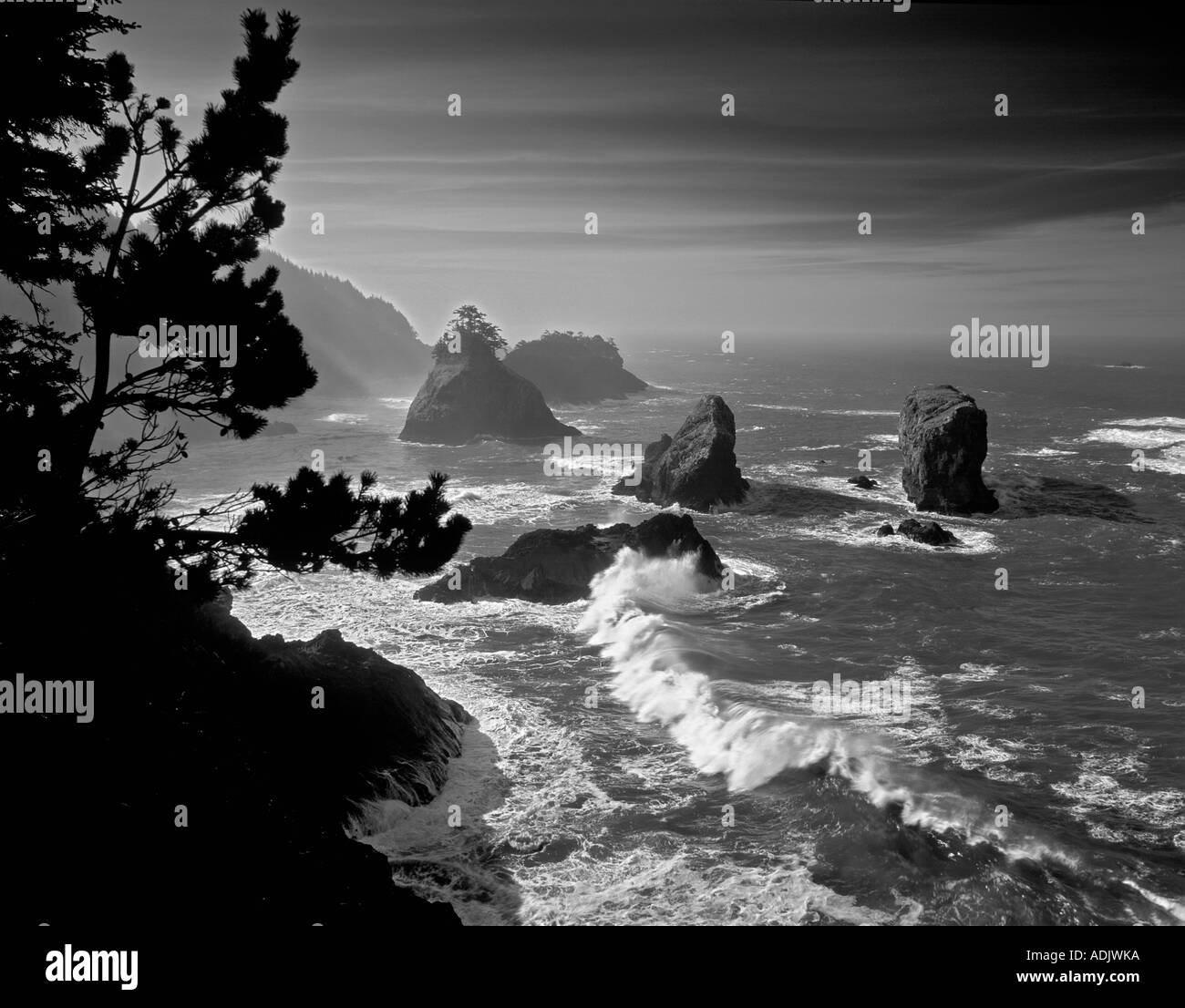 Le onde e le rocce a Boardman parco statale Oregon Foto Stock