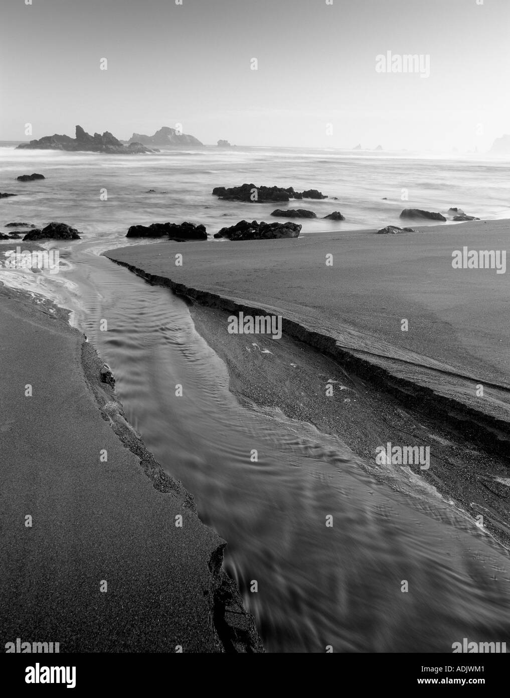 Flusso di piccole dimensioni e la fascia costiera nei pressi di Cape Blanco Oregon Foto Stock