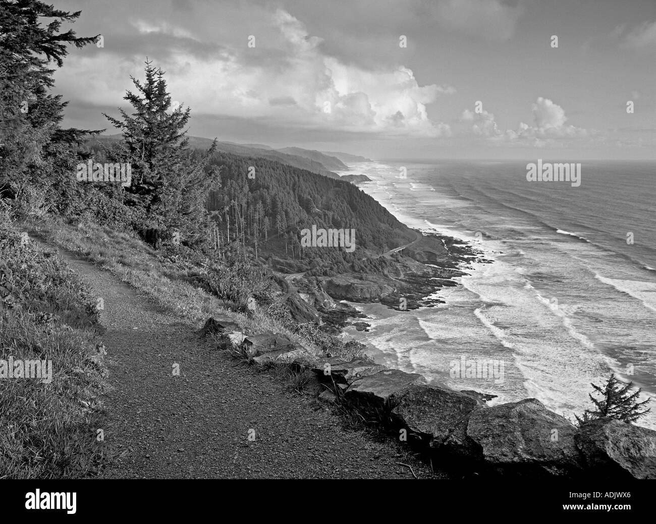 S00111M tiff Trail a Cape Perpetua Oregon Foto Stock