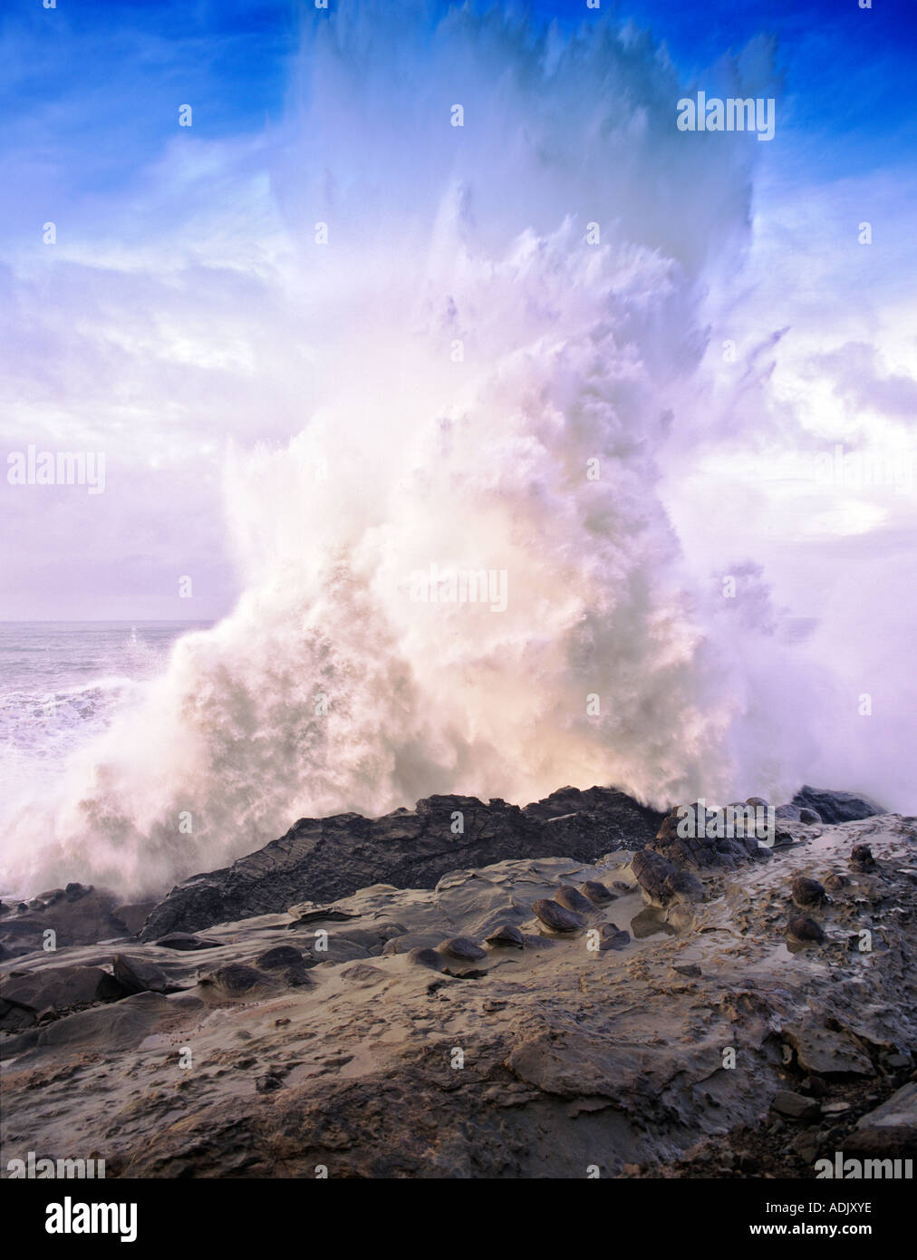 Crashing storm wave a Riva acri del parco statale Oregon Foto Stock