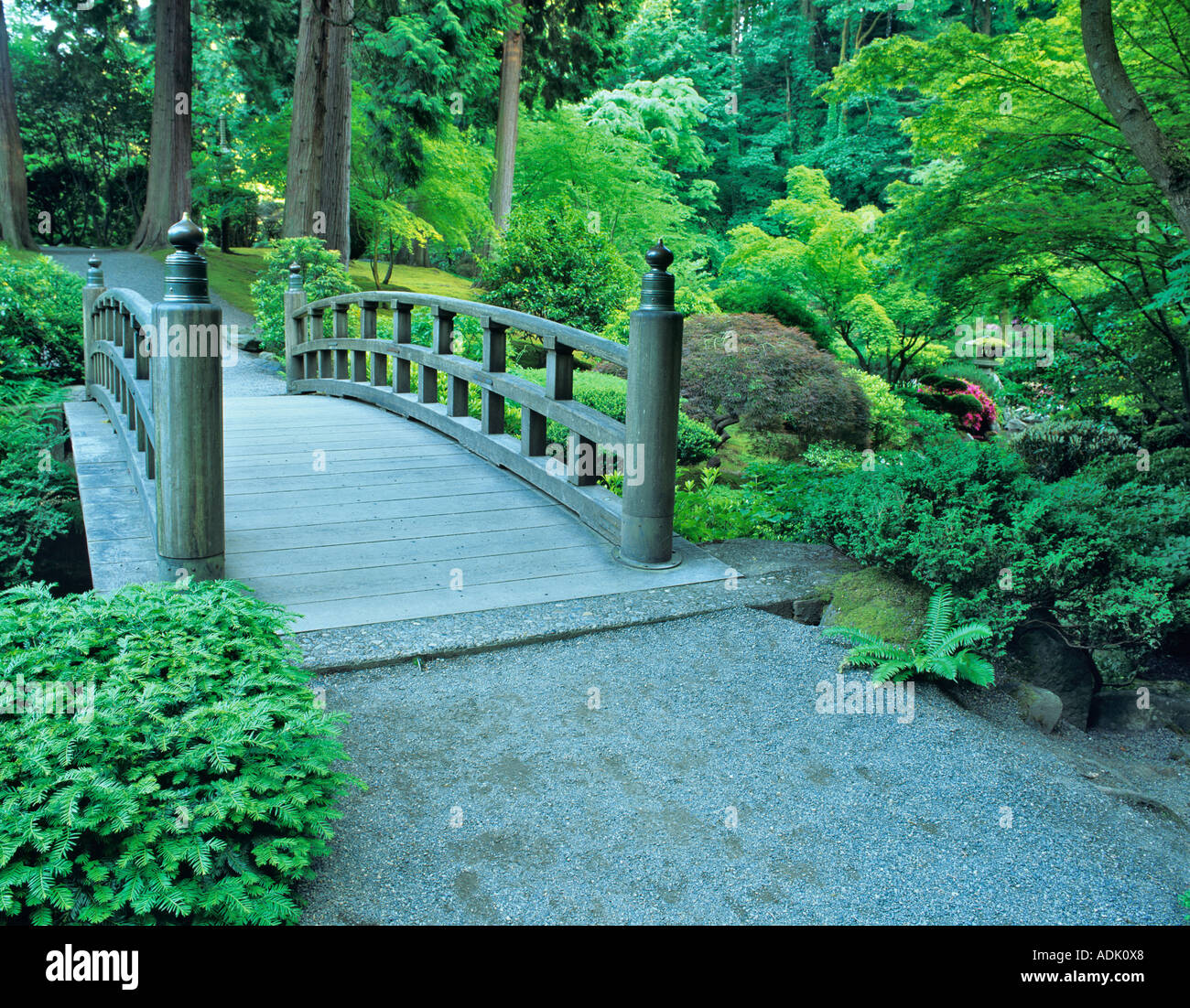 Ponte a giardini Giapponesi Portland Oregon Foto Stock