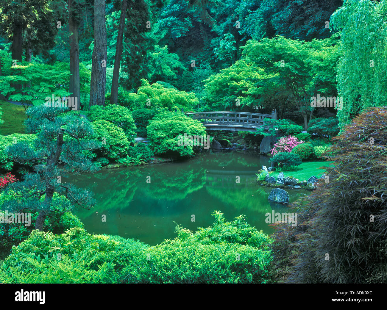 Stagno e ponte a giardini Giapponesi Portland Oregon Foto Stock