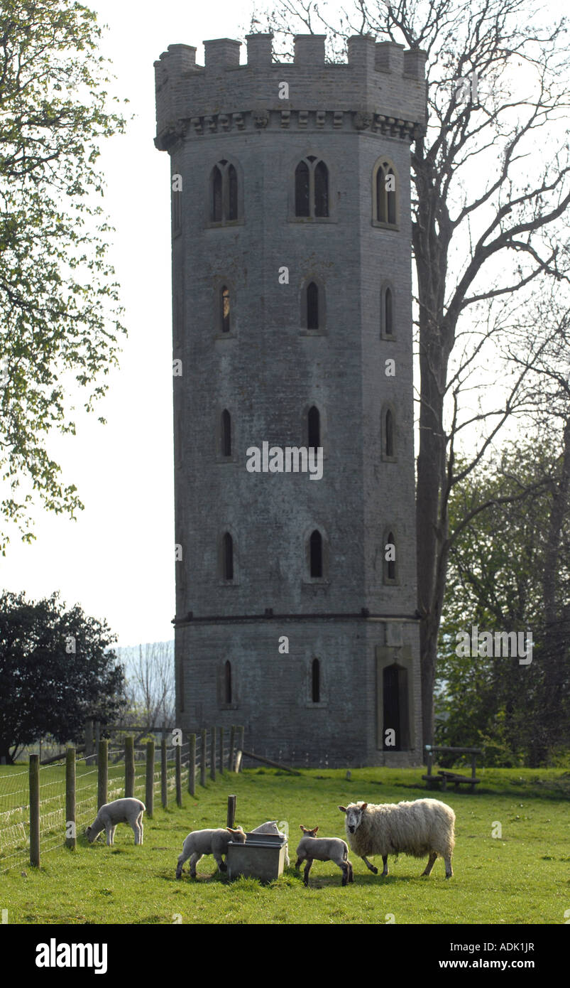 La torre Leciester e obelisco segna la battaglia di Evesham, Worcestershire nel 1265 Foto Stock