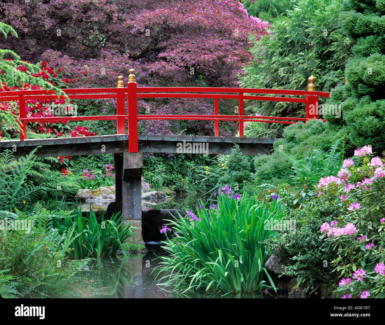 Laghetto con fioritura di rododendri e iris e ponte Kubota Giardini Giapponesi Seattle Washington Foto Stock