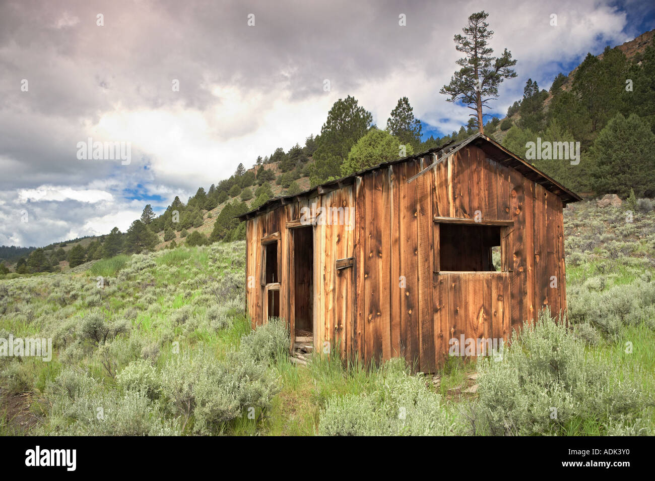 La linea shack in Freemont National Forest Oregon Foto Stock