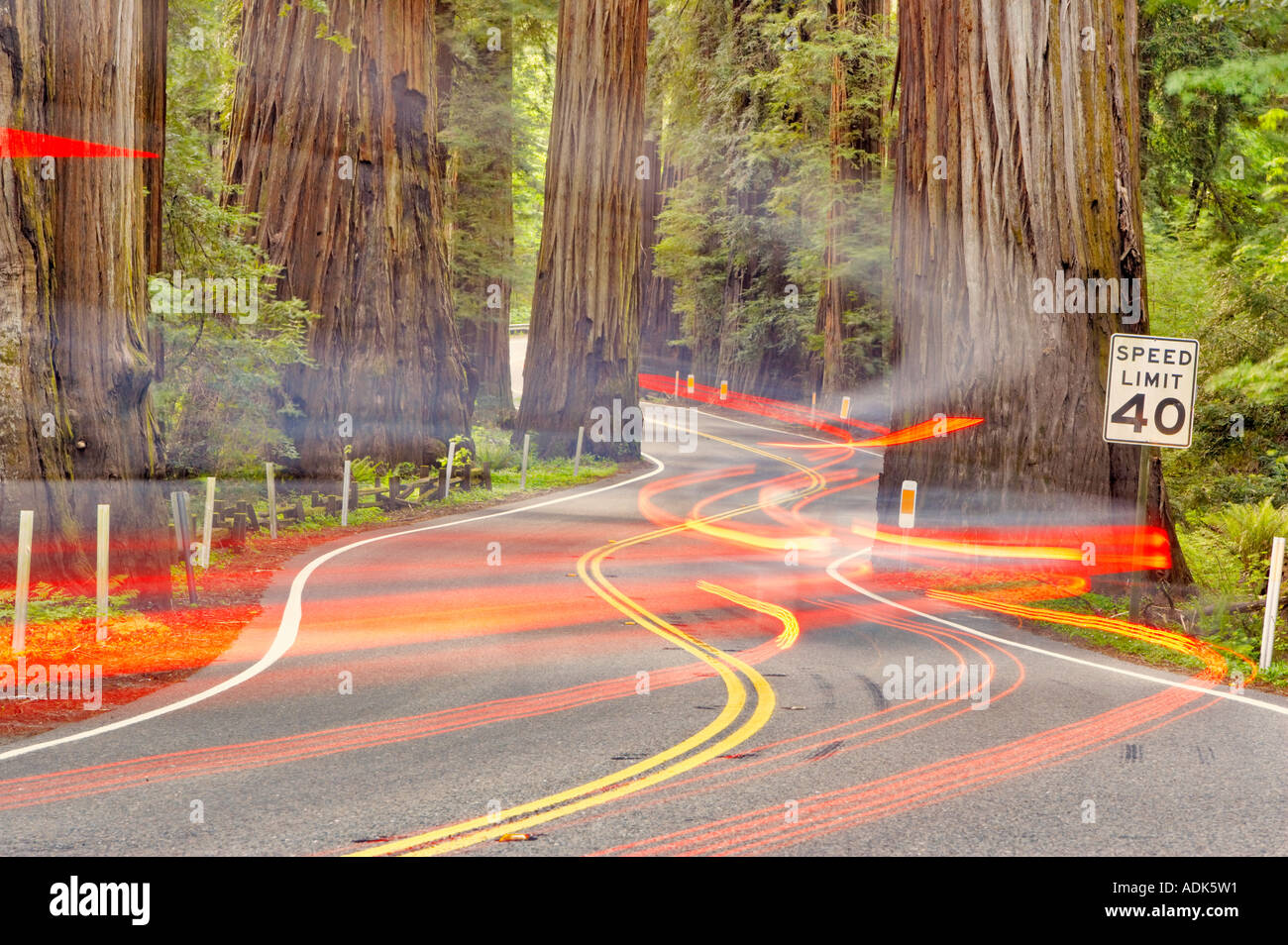 Strada con le luci di coda attraverso Richardson Grove parco dello stato con redwoods California Foto Stock