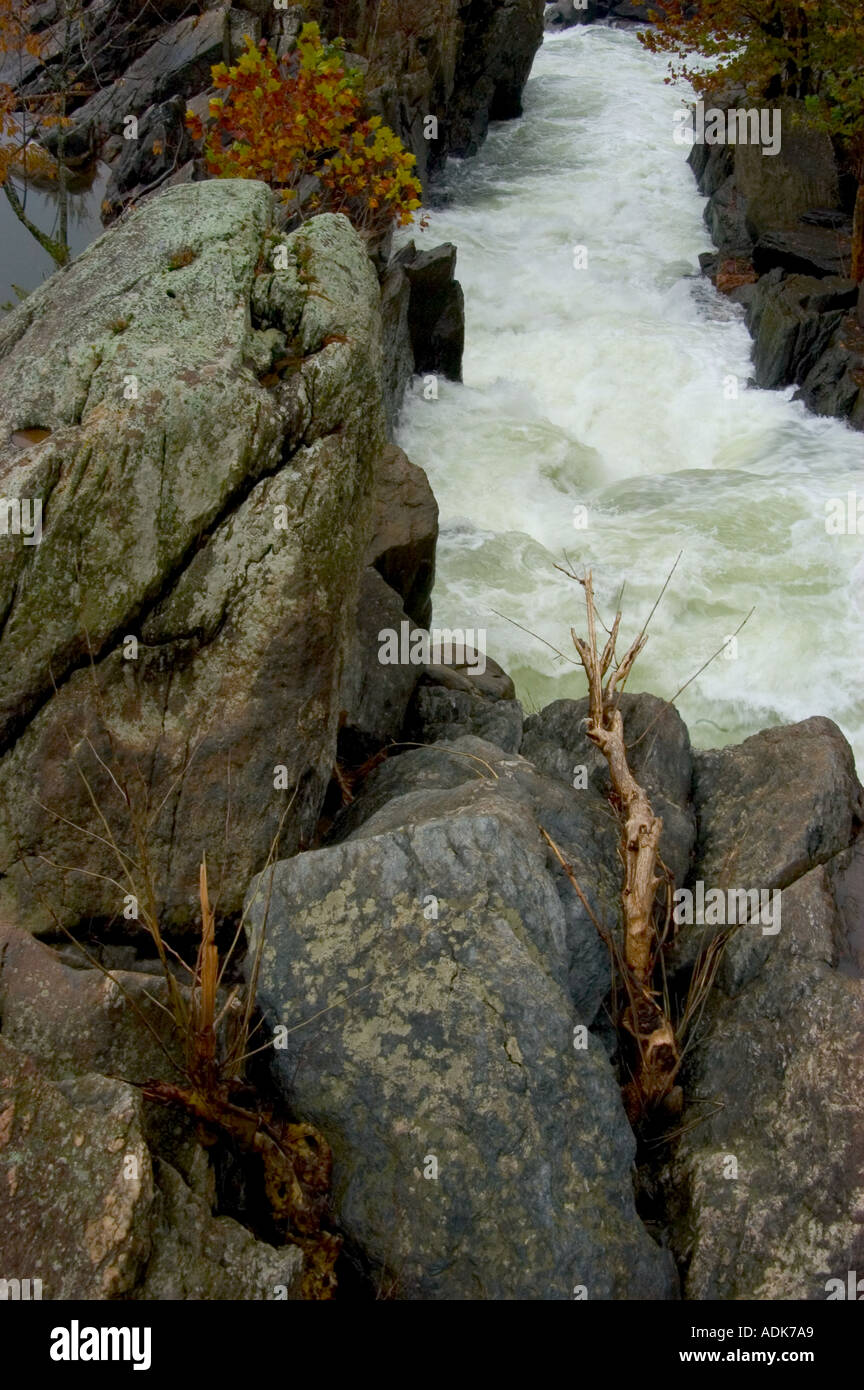 Rapid acqua in movimento intorno a rocce Foto Stock