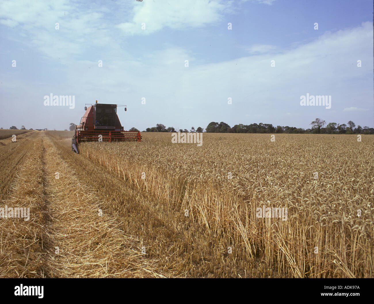 La raccolta agricola Mietitrebbia in azione S Foto Stock